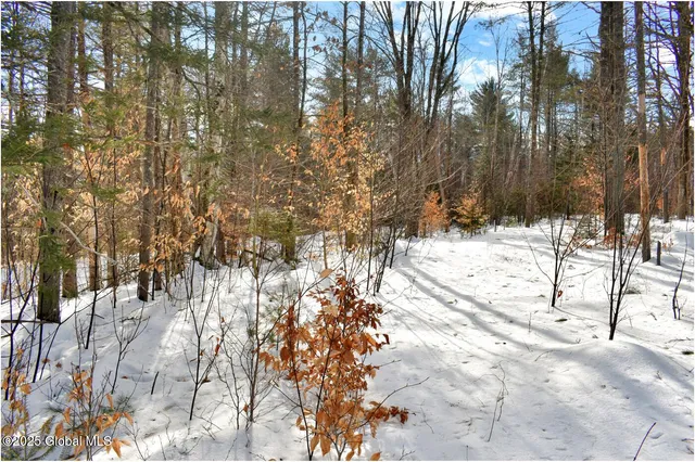 $69,750 | L95 Highview Lane, Unit LOT 11, North Creek, NY 12853