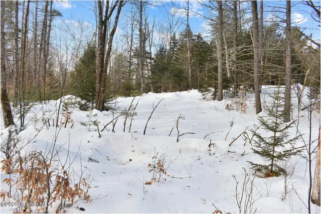 $69,750 | L95 Highview Lane, Unit LOT 11, North Creek, NY 12853