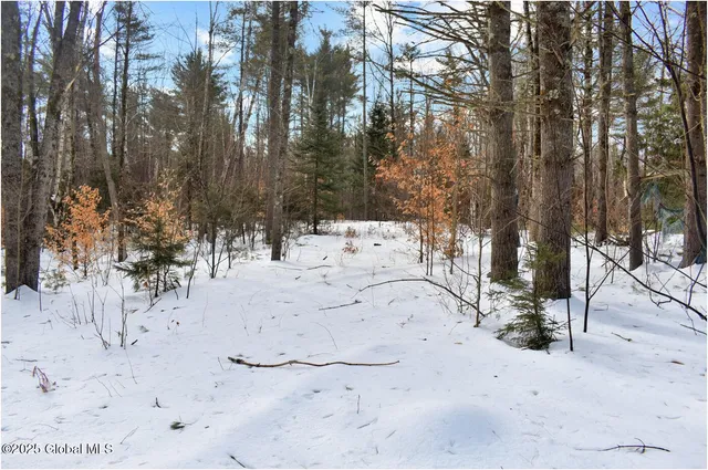 $69,750 | L95 Highview Lane, Unit LOT 11, North Creek, NY 12853