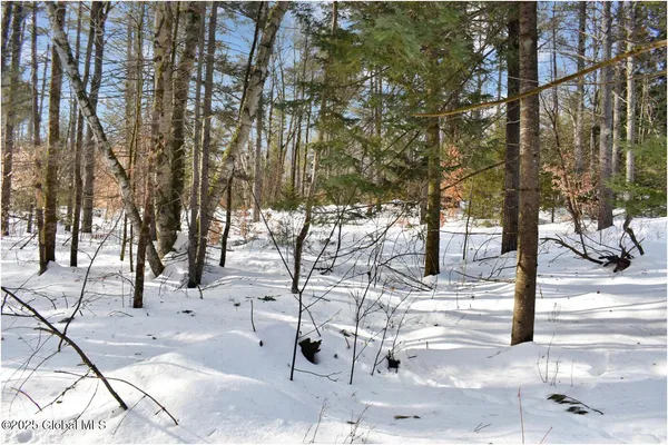 $69,750 | L95 Highview Lane, Unit LOT 11, North Creek, NY 12853