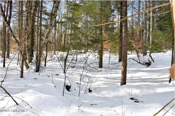 $69,750 | L95 Highview Lane, Unit LOT 11, North Creek, NY 12853