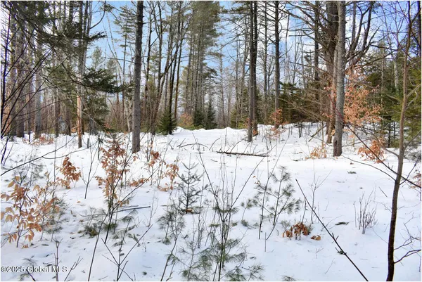 $69,750 | L95 Highview Lane, Unit LOT 11, North Creek, NY 12853