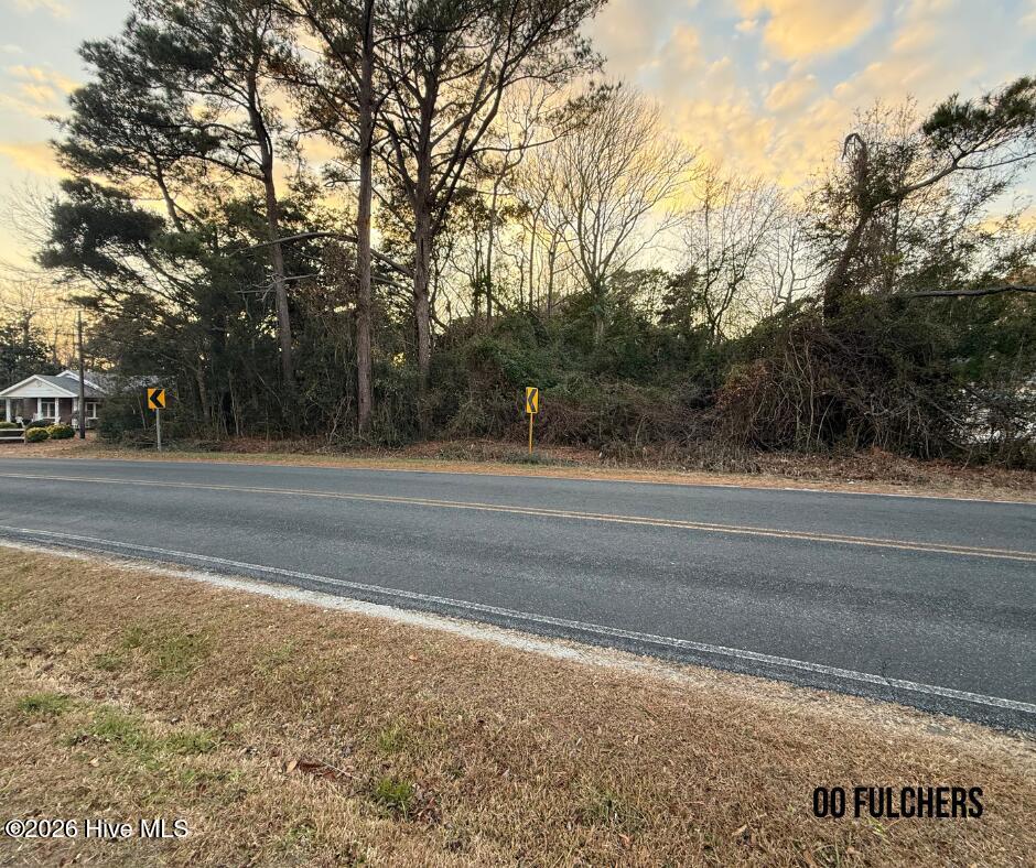 175 Fulcher Landing Road Sneads Ferry, NC 28460 - Photo 3 of 6 1