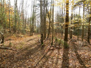 Lot #4 Spaulding Road St. Johnsbury, VT 05819 - Photo 1 of 6 Gallery Image 1