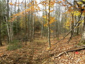 Lot #4 Spaulding Road St. Johnsbury, VT 05819 - Photo 2 of 6 Gallery Image 2