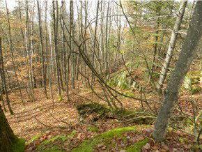 Lot #4 Spaulding Road St. Johnsbury, VT 05819 - Photo 3 of 6 Gallery Image 3