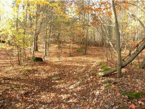 Lot #4 Spaulding Road St. Johnsbury, VT 05819 - Photo 4 of 6 Gallery Image 4