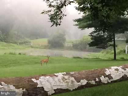 415 Darlington Road Media, PA 19063 - Photo 101 of 103 Neighboring View- seen during walks