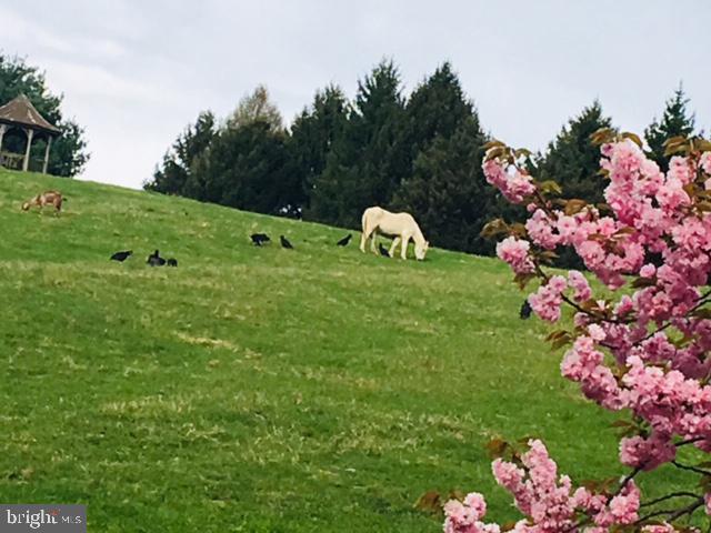 415 Darlington Road Media, PA 19063 - Photo 102 of 103 Neighboring View- seen during walks