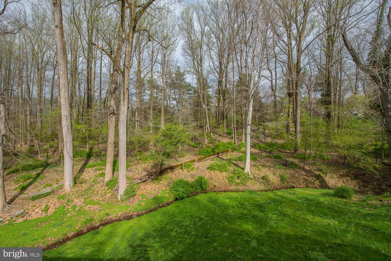 415 Darlington Road Media, PA 19063 - Photo 77 of 103 Rear View