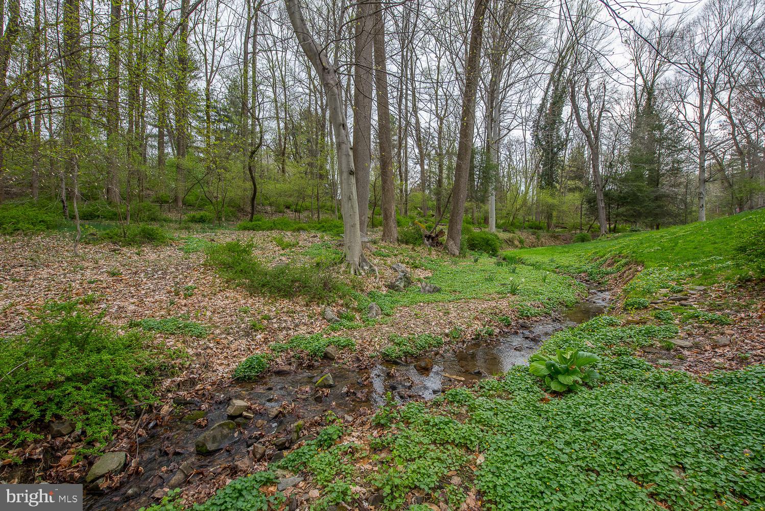 415 Darlington Road Media, PA 19063 - Photo 91 of 103 Rear Yard with creek
