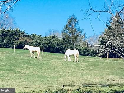 415 Darlington Road Media, PA 19063 - Photo 98 of 103 Neighboring View- seen during walks