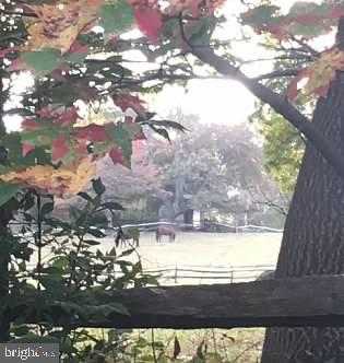 415 Darlington Road Media, PA 19063 - Photo 99 of 103 Neighboring View- seen during walks
