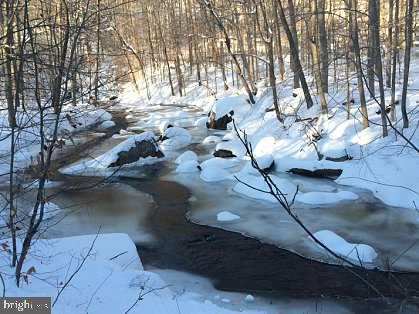 415 Darlington Road Media, PA 19063 - Photo 100 of 103 Rear View of creek in winter time
