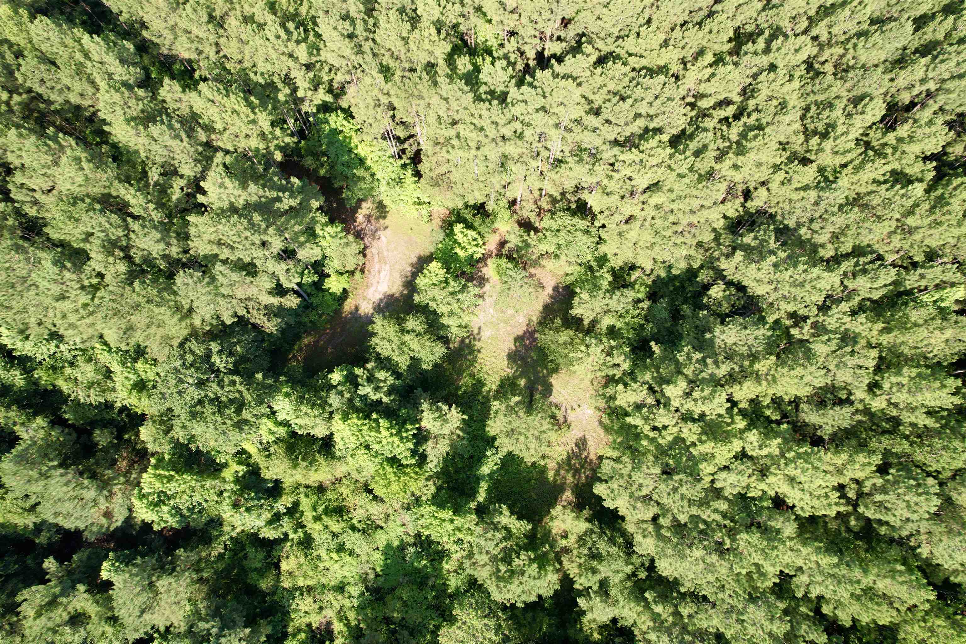 101.49-acres - Epps Road New Zion, SC 29111 - Photo 18 of 24