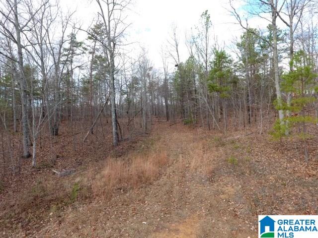 8730 Pine Mountain Road Pinson, AL 35126 - Photo 1 of 5