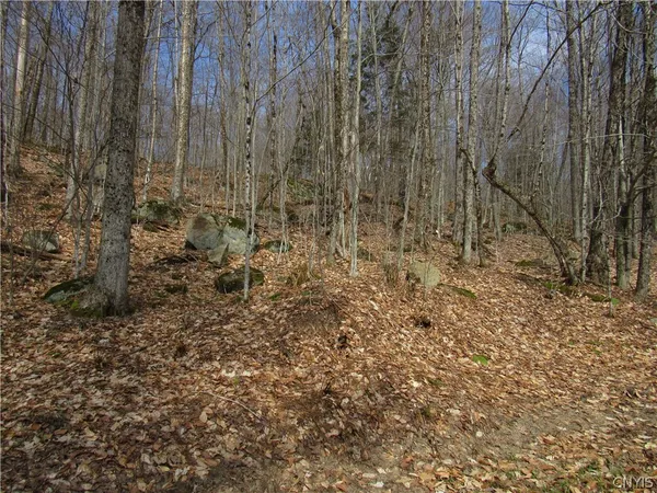 $42,500 | Capron Road West, Woodgate, NY 13494