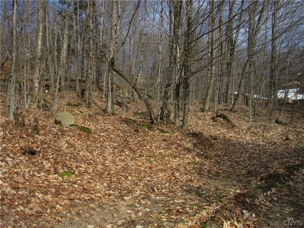 $42,500 | Capron Road West, Woodgate, NY 13494