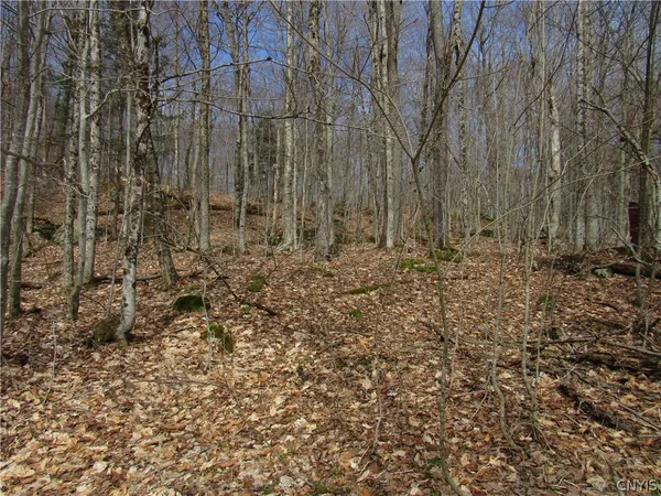 $42,500 | Capron Road West, Woodgate, NY 13494