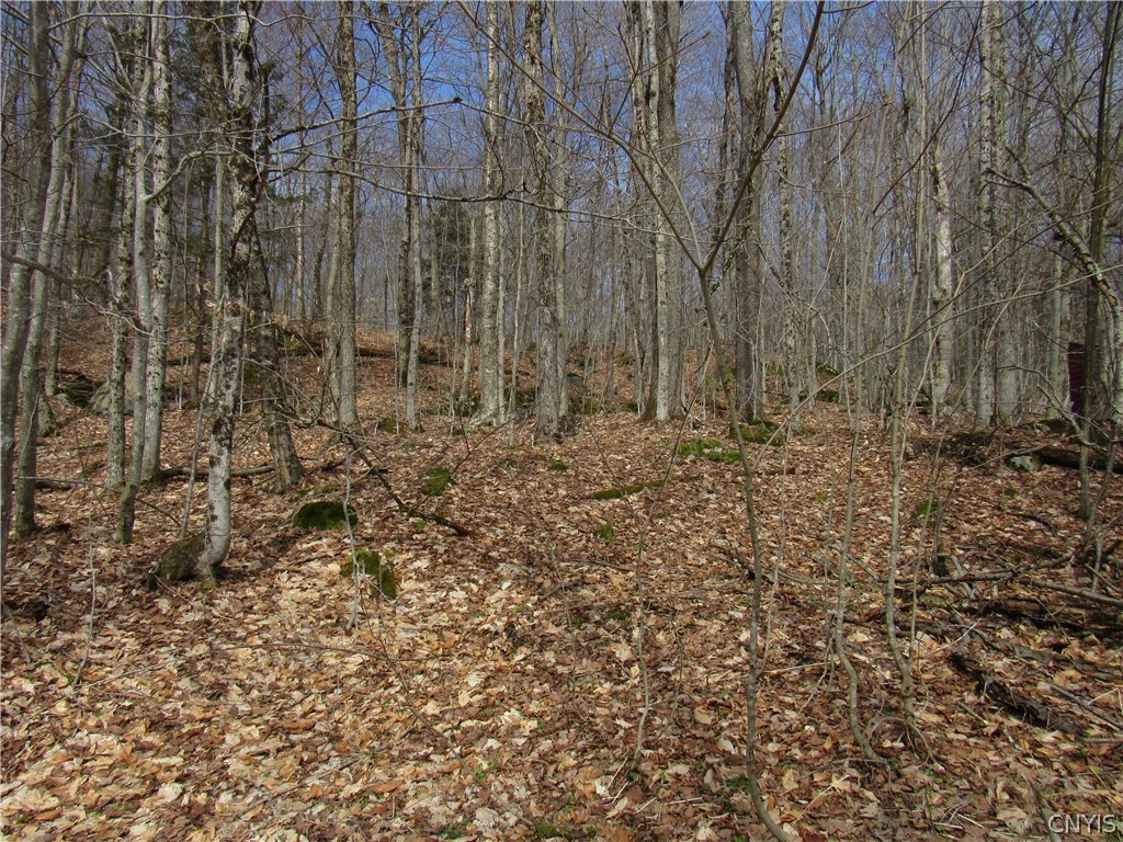 Capron Road West Woodgate, NY 13494 - Photo 3 of 9