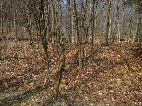 $42,500 | Capron Road West, Woodgate, NY 13494