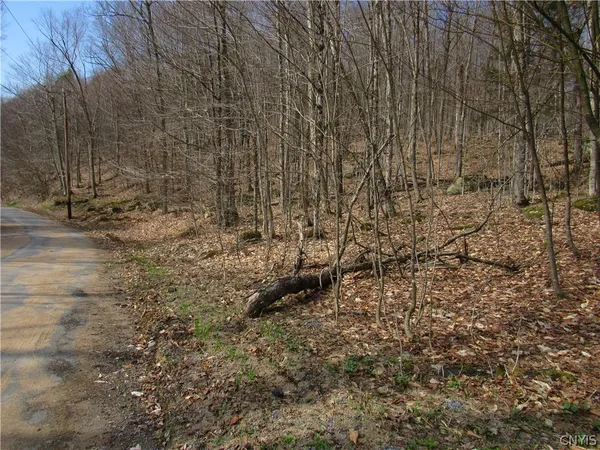 $42,500 | Capron Road West, Woodgate, NY 13494