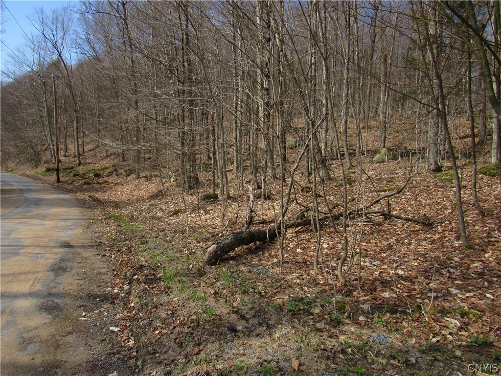 Capron Road West Woodgate, NY 13494 - Photo 5 of 9