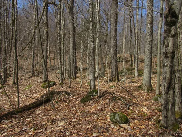 $42,500 | Capron Road West, Woodgate, NY 13494