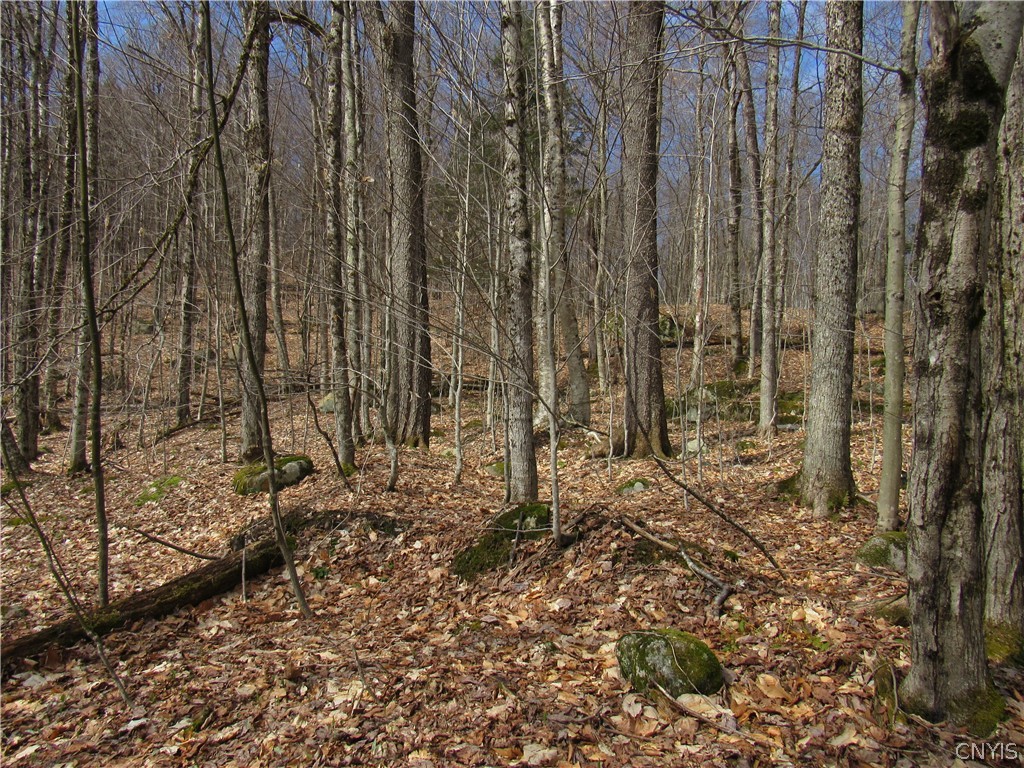 Capron Road West Woodgate, NY 13494 - Photo 6 of 9