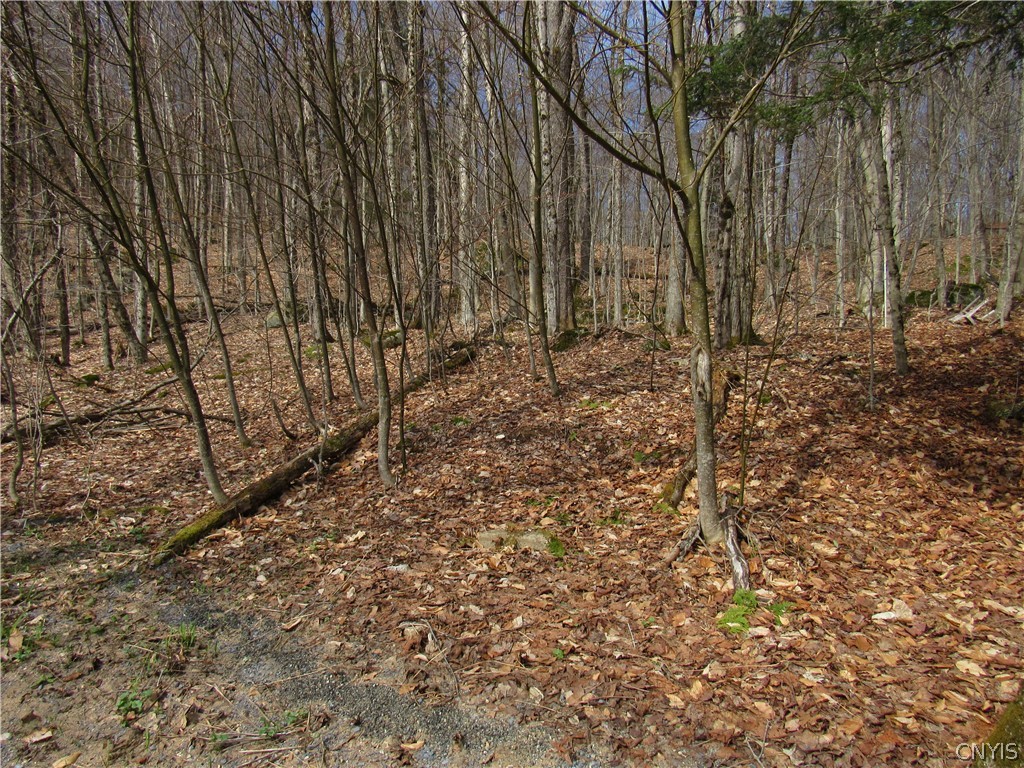 Capron Road West Woodgate, NY 13494 - Photo 7 of 9