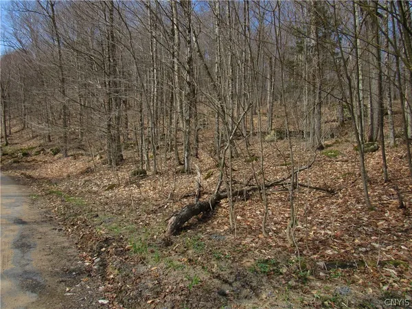 $42,500 | Capron Road West, Woodgate, NY 13494