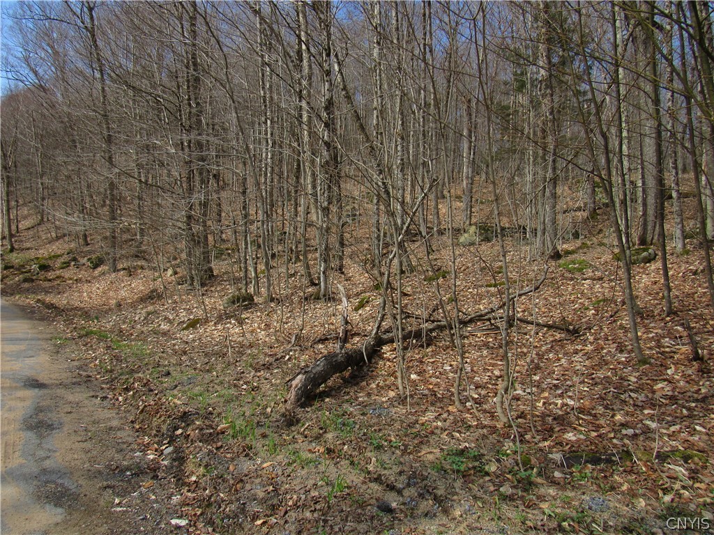 Capron Road West Woodgate, NY 13494 - Photo 8 of 9
