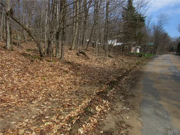 $42,500 | Capron Road West, Woodgate, NY 13494