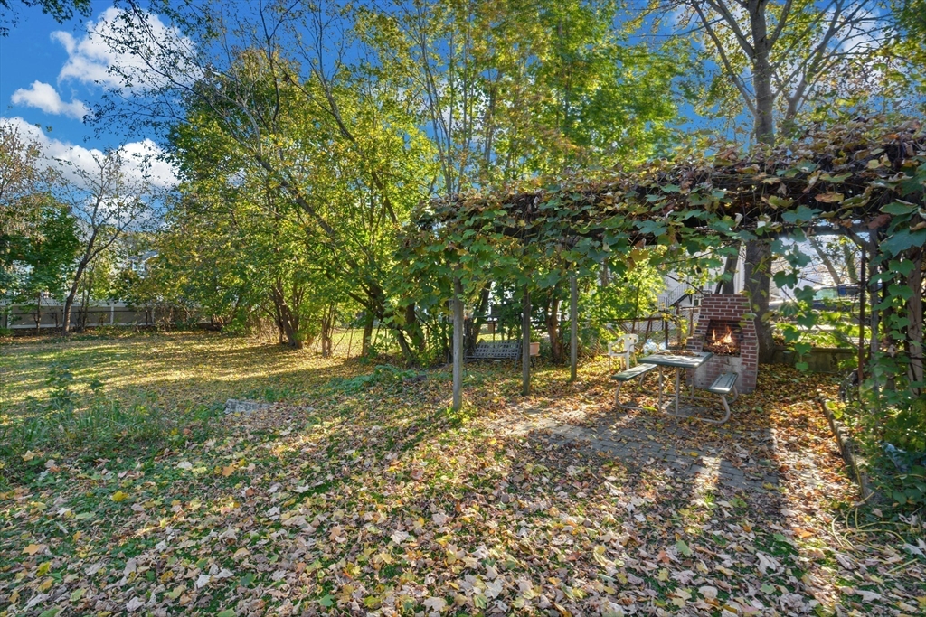 10 Middle Street, Unit 10 Newton, MA 02458 - Photo 19 of 19 a view of backyard with green space