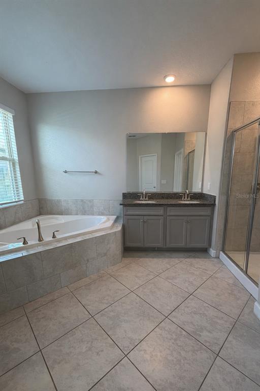 25118 Lambrusco Loop Lutz, FL 33559 - Photo 15 of 26 a large bathroom with a tub a sink and a large mirror