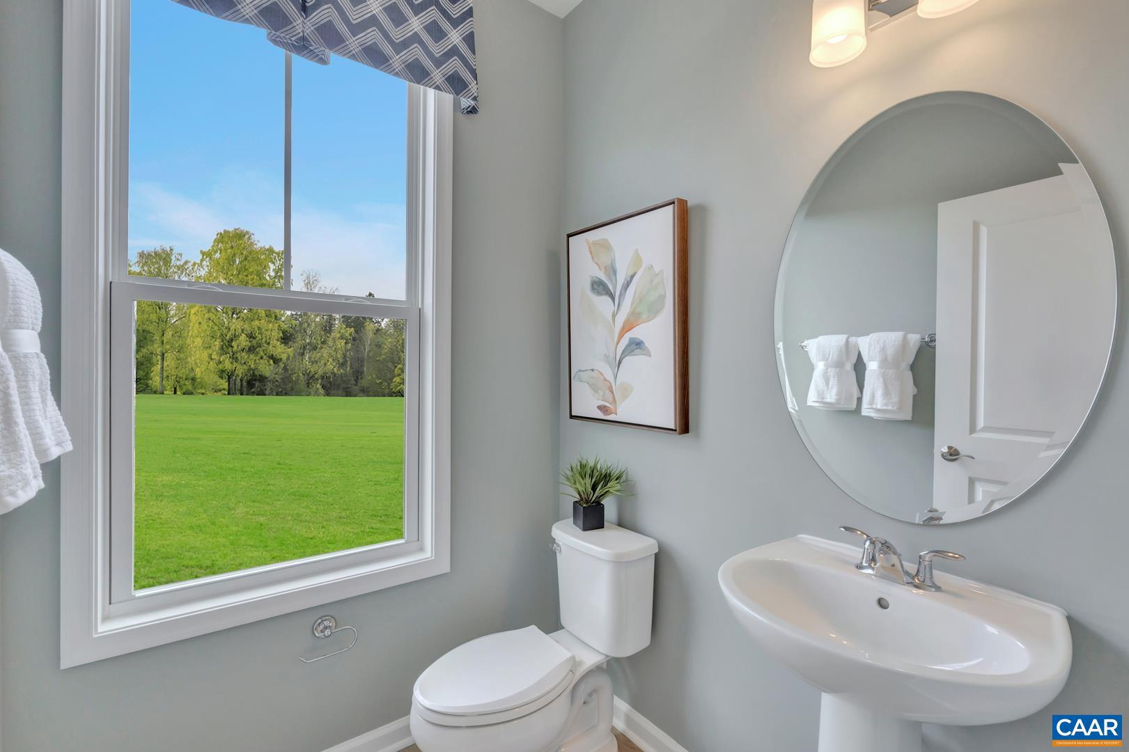 3020 Rambling Brk Lane Crozet, VA 22932 - Photo 15 of 30