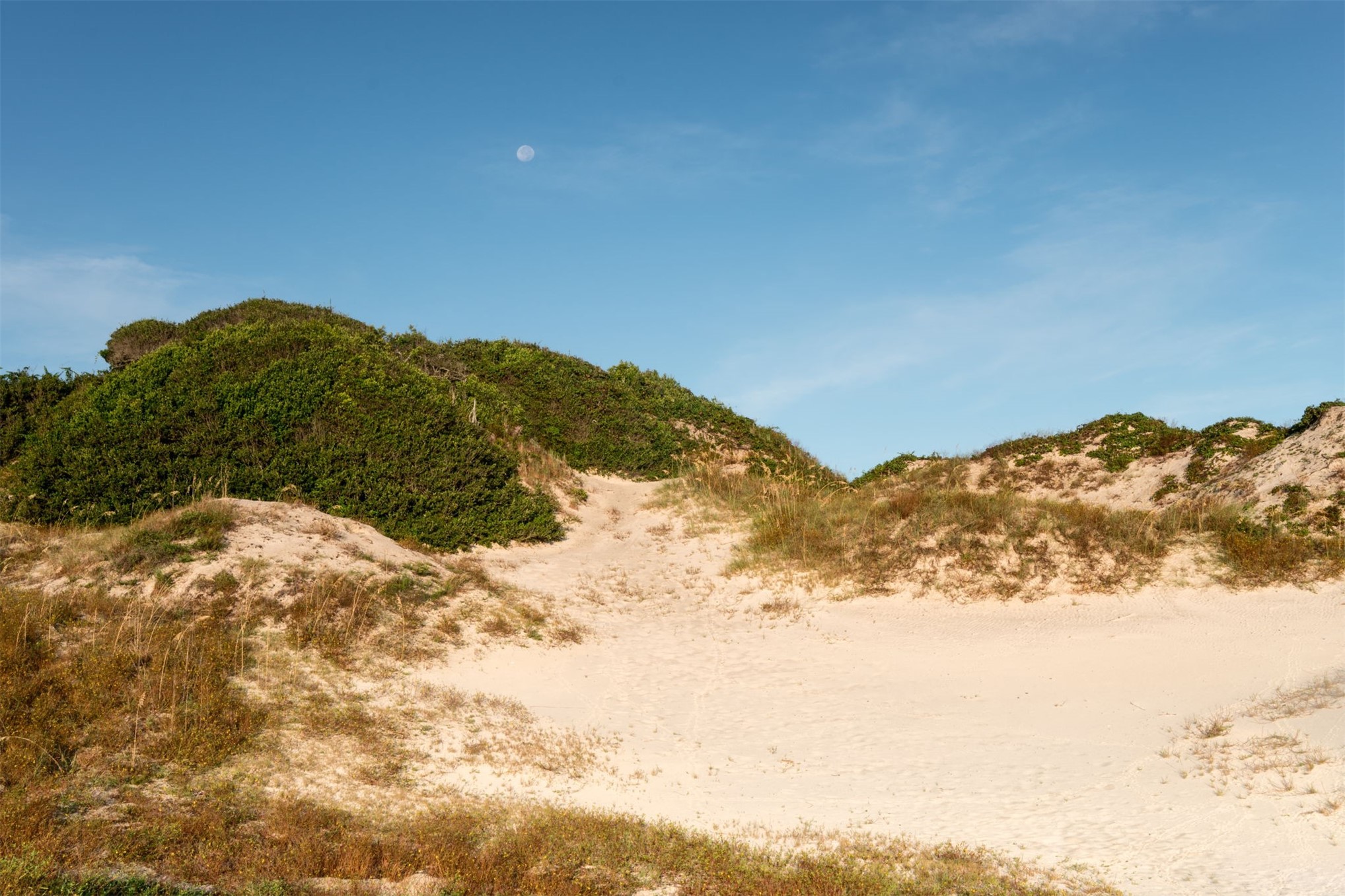 Lot 4 Russell Road Fernandina Beach, FL 32034 - Photo 17 of 22