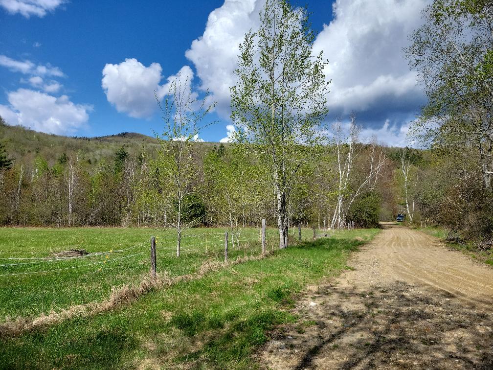 Lot 11 Swift River Road Byron, ME 04275 - Photo 56 of 72 photo_ed970379-ebef-4fb2-8713-db2414163f