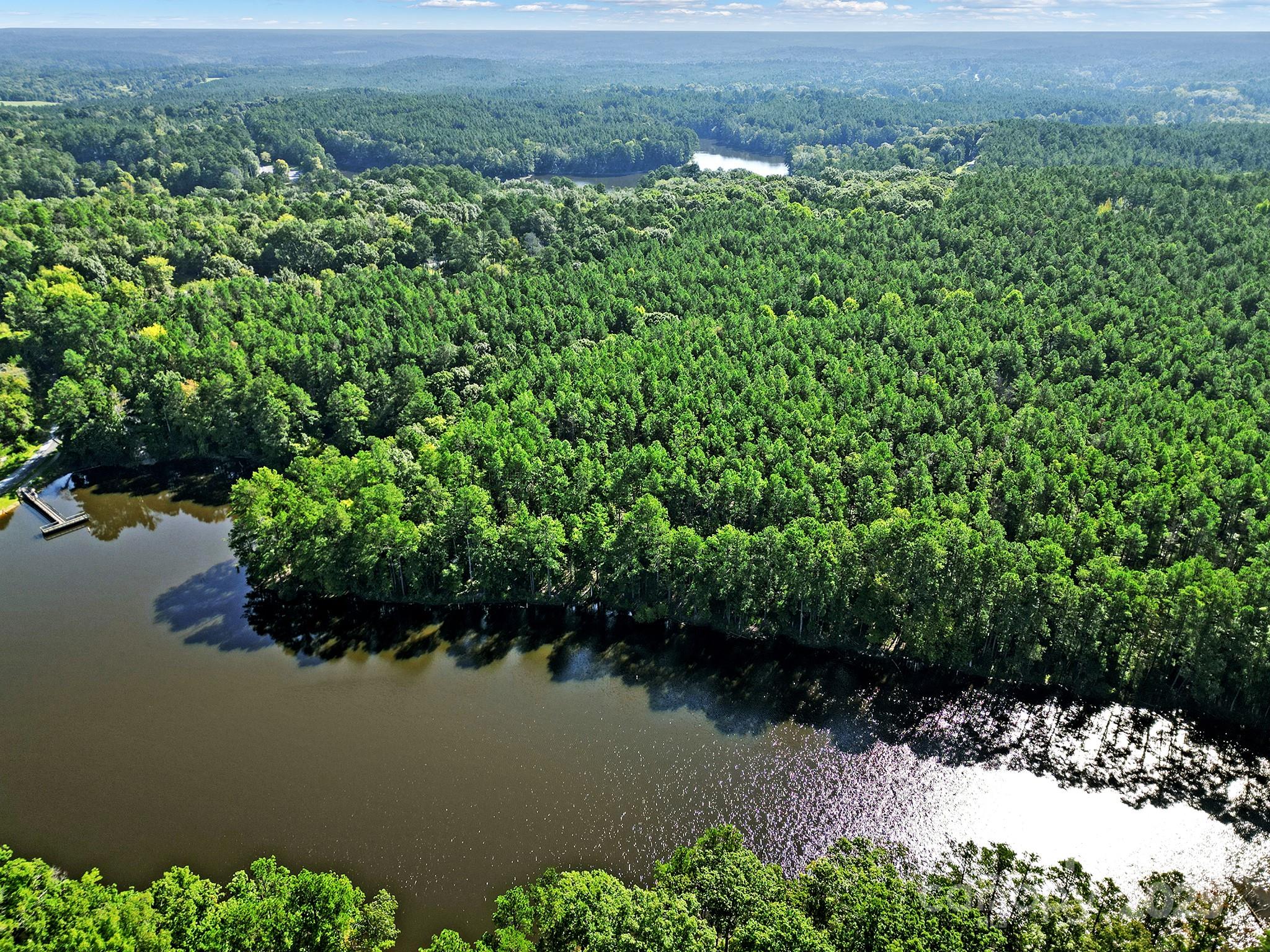 0 Carlisle White Road Chester, SC 29706 - Photo 12 of 28 a view of a lake with a mountain and a yard in back
