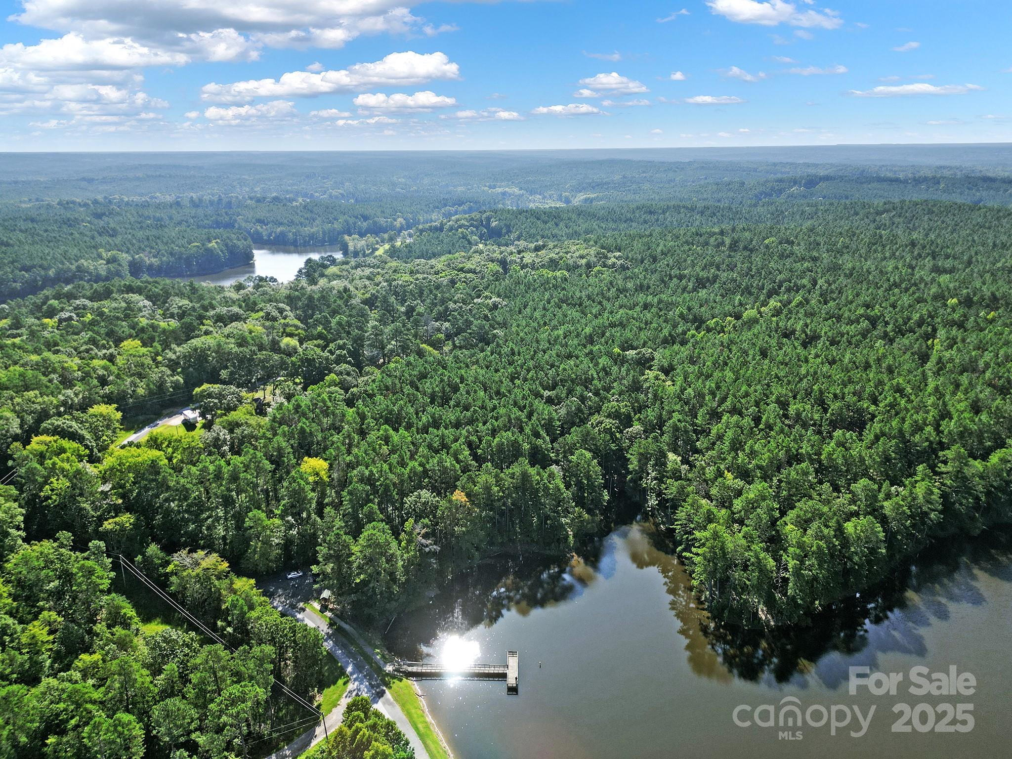 0 Carlisle White Road Chester, SC 29706 - Photo 14 of 28 a view of a lake with a yard