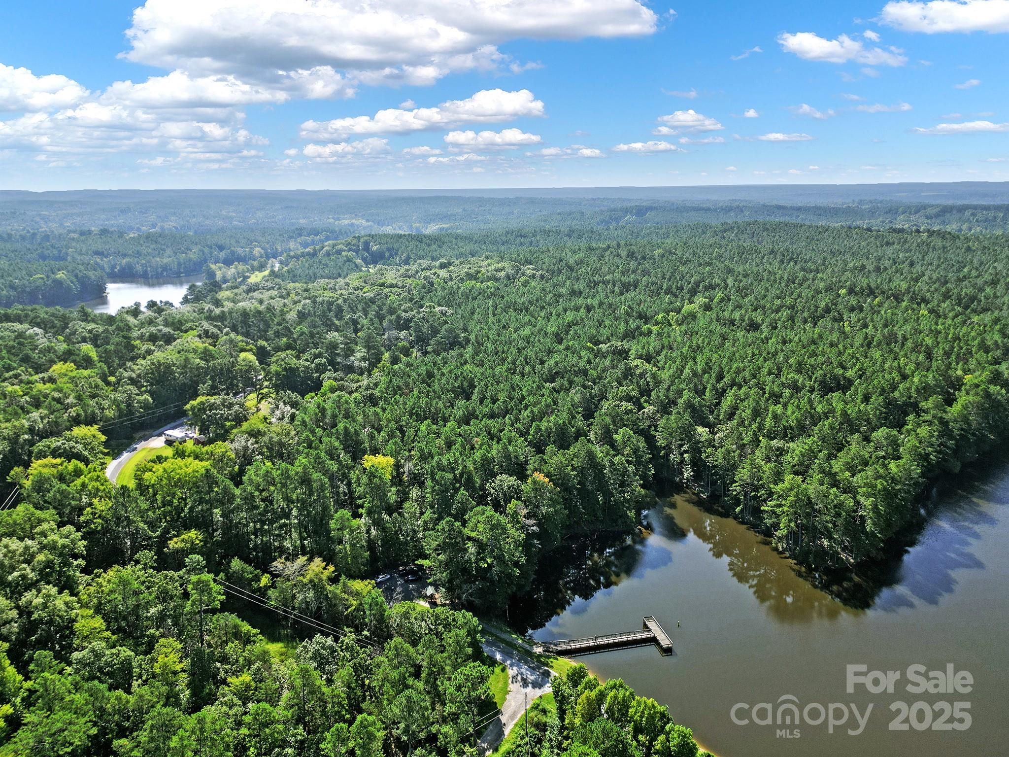 0 Carlisle White Road Chester, SC 29706 - Photo 15 of 28 a view of a lake from a yard