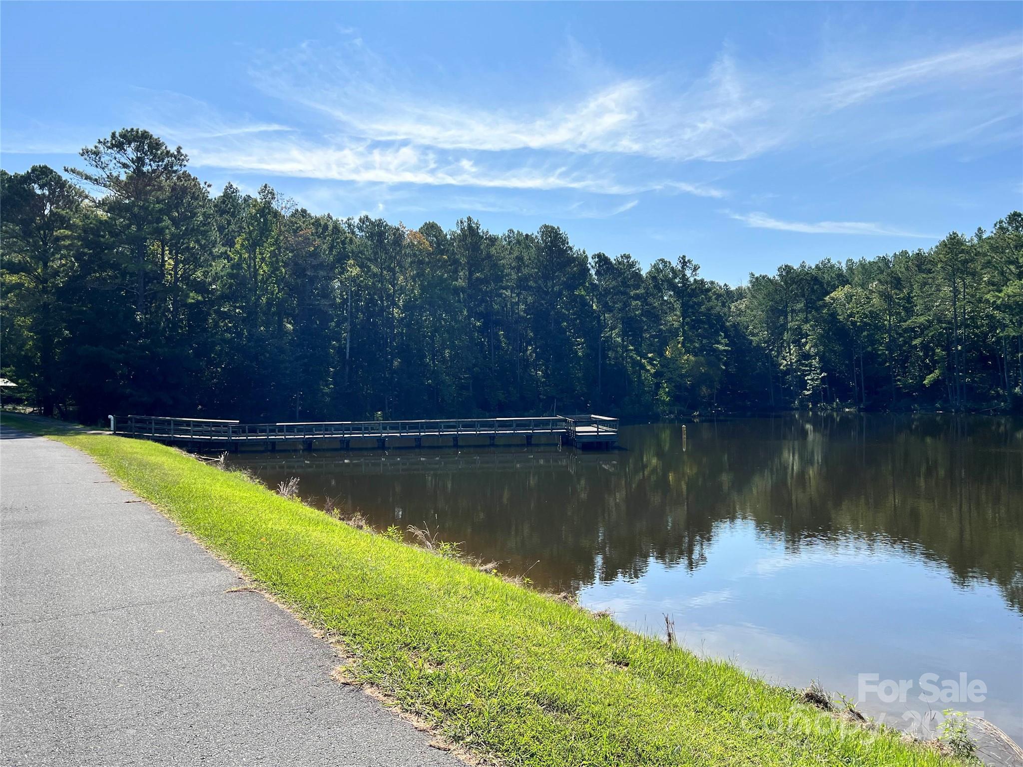 0 Carlisle White Road Chester, SC 29706 - Photo 19 of 28 a view of a lake with a yard
