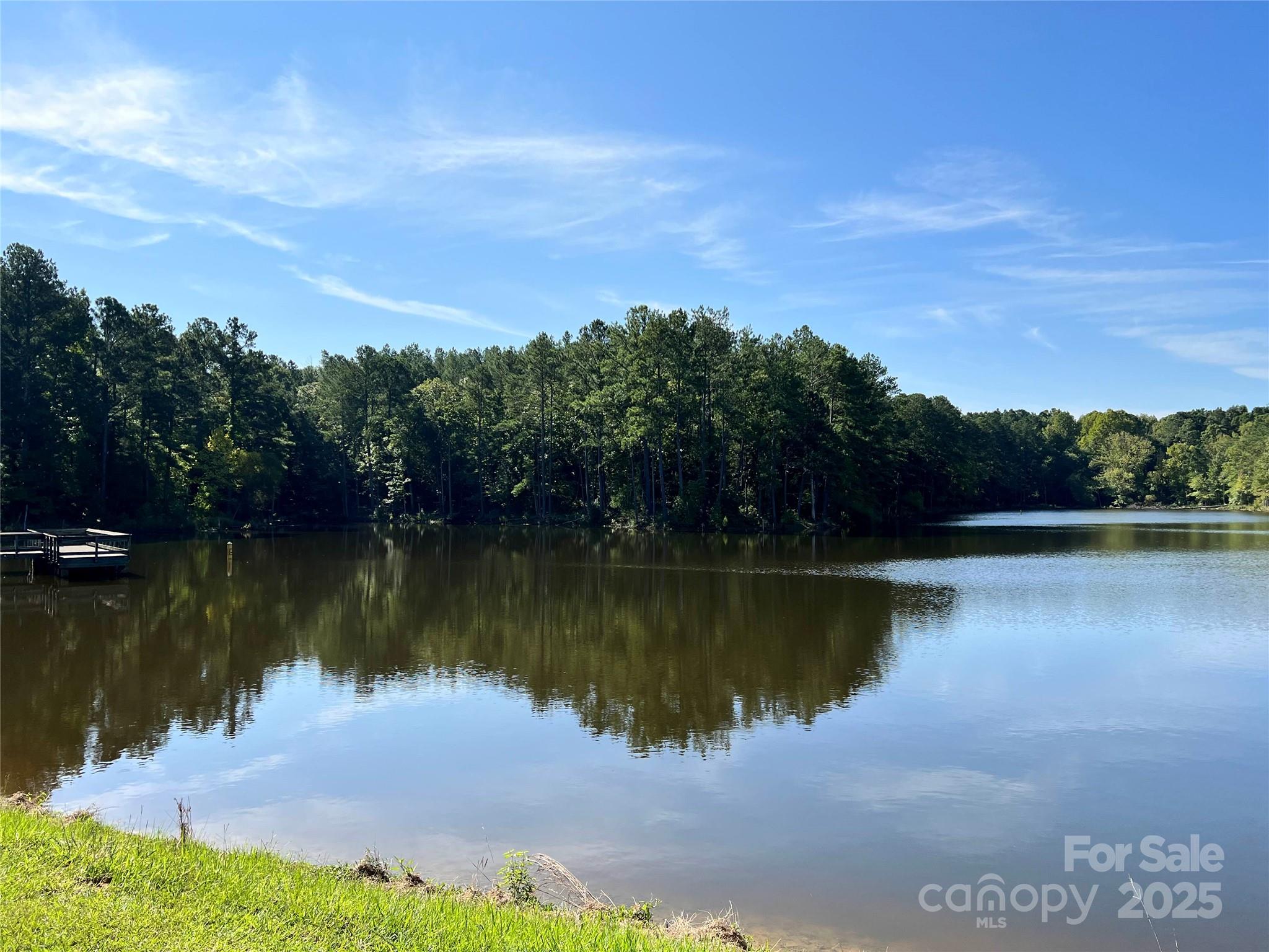 0 Carlisle White Road Chester, SC 29706 - Photo 20 of 28 a view of a lake