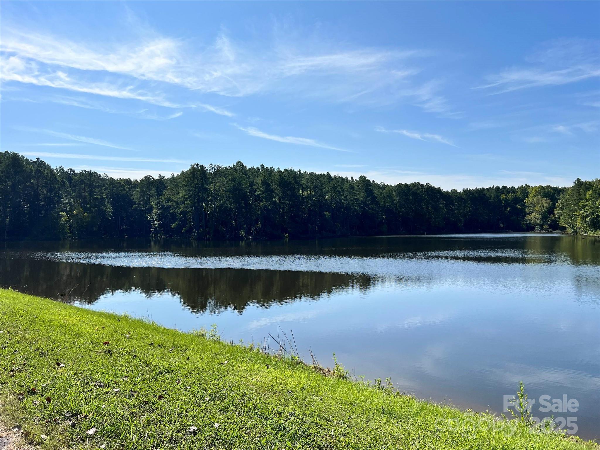 0 Carlisle White Road Chester, SC 29706 - Photo 21 of 28 a view of a lake with a city