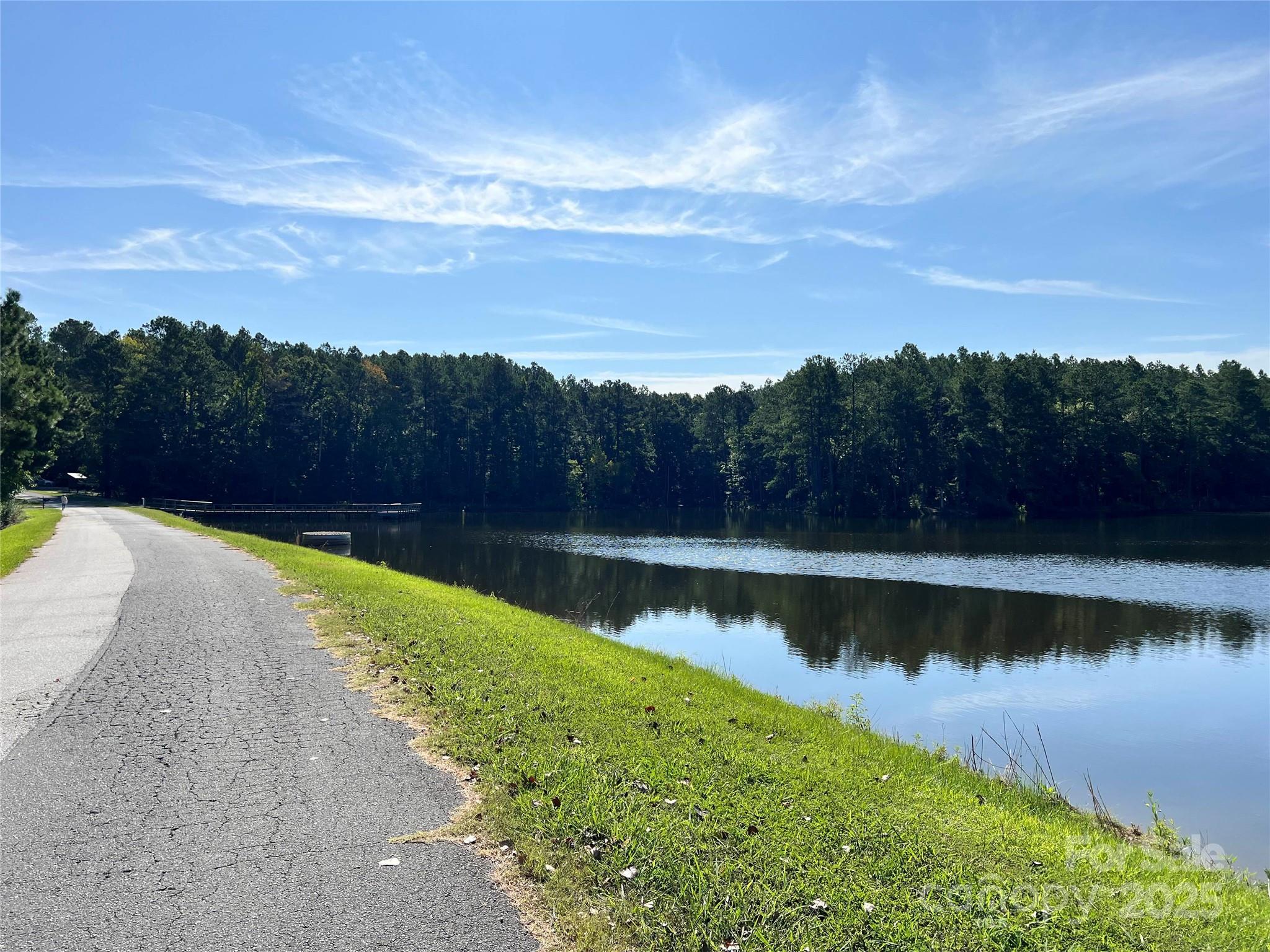 0 Carlisle White Road Chester, SC 29706 - Photo 22 of 28 a view of a lake with a yard and large trees