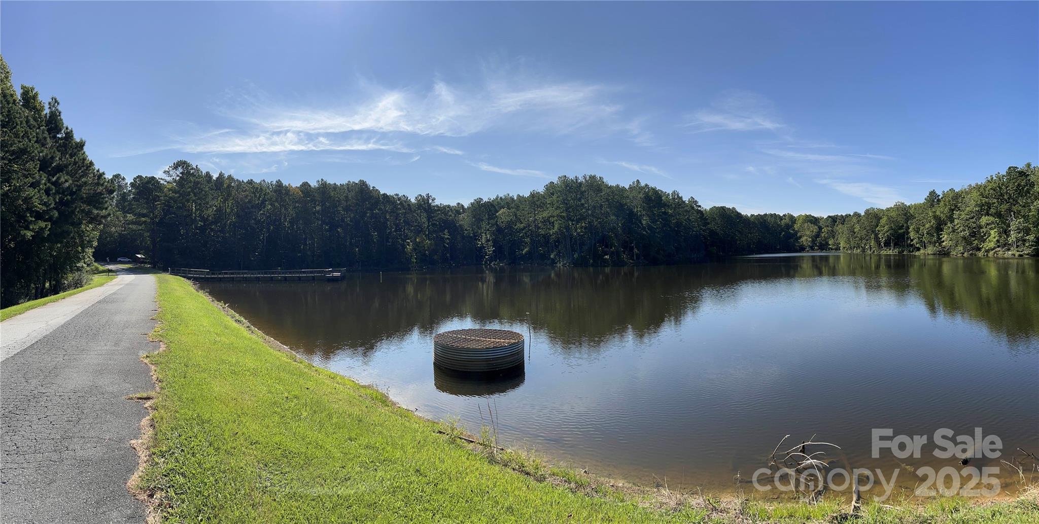 0 Carlisle White Road Chester, SC 29706 - Photo 23 of 28 a view of a lake with a mountain in the background