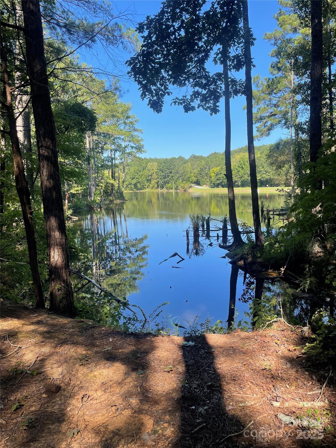 0 Carlisle White Road Chester, SC 29706 - Photo 24 of 28 a view of a lake with a big yard