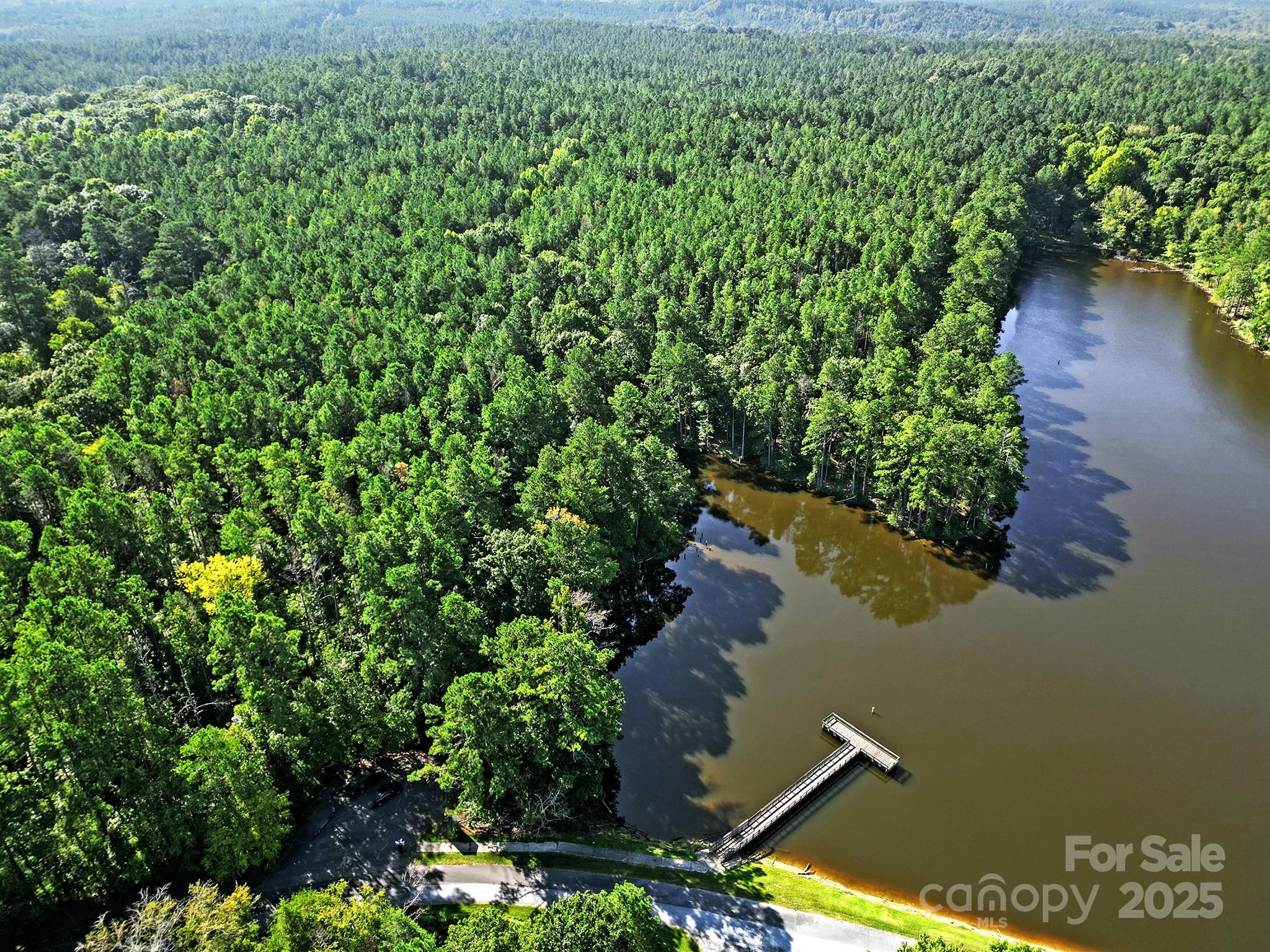 0 Carlisle White Road Chester, SC 29706 - Photo 3 of 28 an aerial view of a house with a yard and lake view