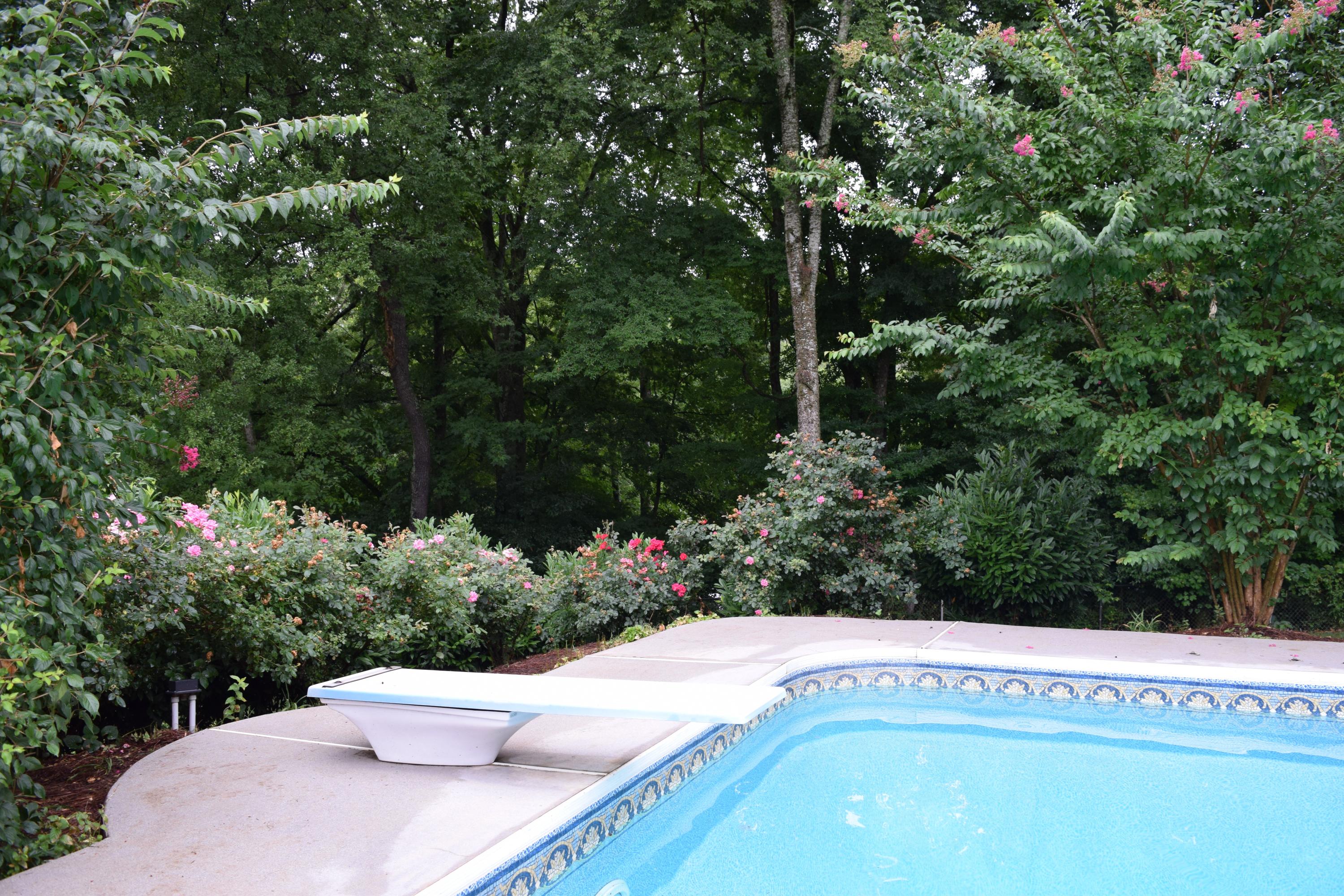 3012 Walridge Road Knoxville, TN 37921 - Photo 22 of 26 Diving Board