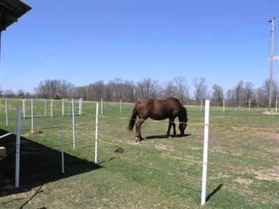 2908 Coke Road Mountain Grove, MO 65711 - Photo 1 of 1 Primary Photo